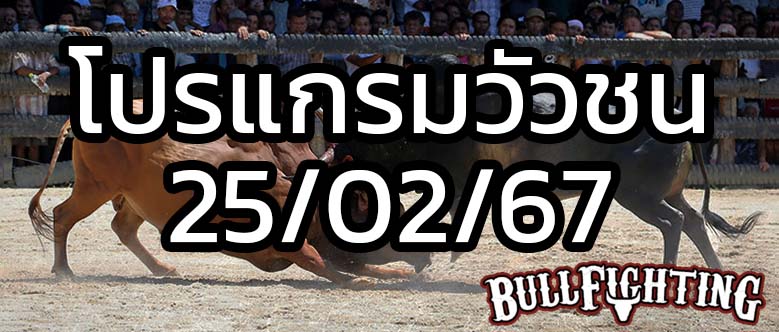 โปรแกรมวัวชน สนามกีฬาชนโคสมหวัง วันที่ 25 ก.พ. 67