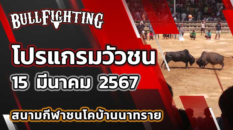 โปรแกรมวัวชน สนามกีฬาชนโคบ้านนาทราย วันที่ 15 มี.ค. 67 เว็บไซต์ : Bullfighting.Bet