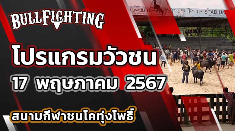 โปรแกรมวัวชน สนามกีฬาชนโคทุ่งโพธิ์ซิตี้ วันที่ 17 พ.ค. 67 เว็บไซต์ : Bullfighting.Bet