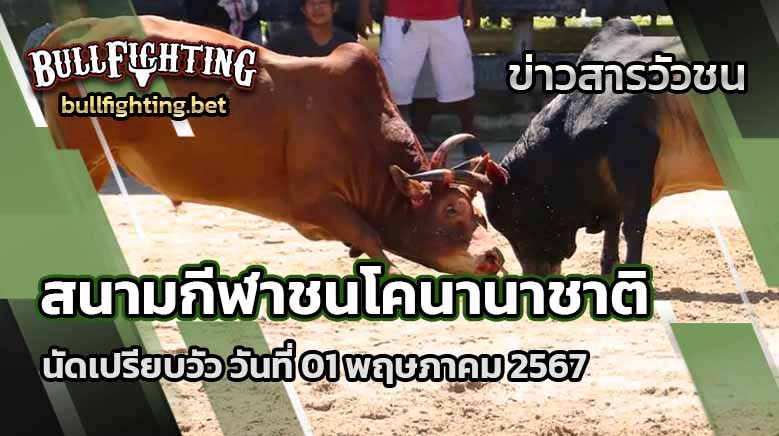 นัดเปรียบวัว สนามกีฬาชนโคนานาชาติ 01 พฤษภาคม 2567