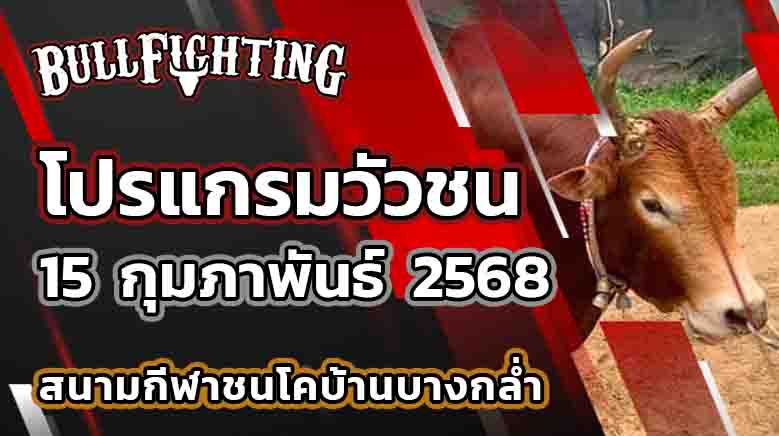 โปรแกรมวัวชน สนามกีฬาชนโคบ้านบางกล่ำ วันที่ 15 ก.พ. 68 เว็บไซต์ : Bullfighting.Bet