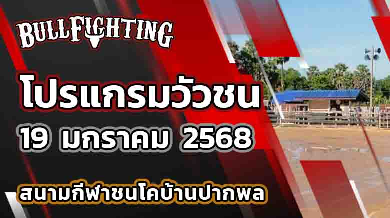โปรแกรมวัวชน สนามกีฬาชนโคบ้านปากพล วันที่ 19 ก.พ. 68 เว็บไซต์ : Bullfighting.Bet