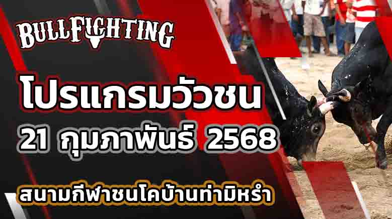 โปรแกรมวัวชน สนามกีฬาชนโคท่ามิหรำ 21 กุมภาพันธ์ 2568 เว็บไซต์ : Bullfighting.Bet