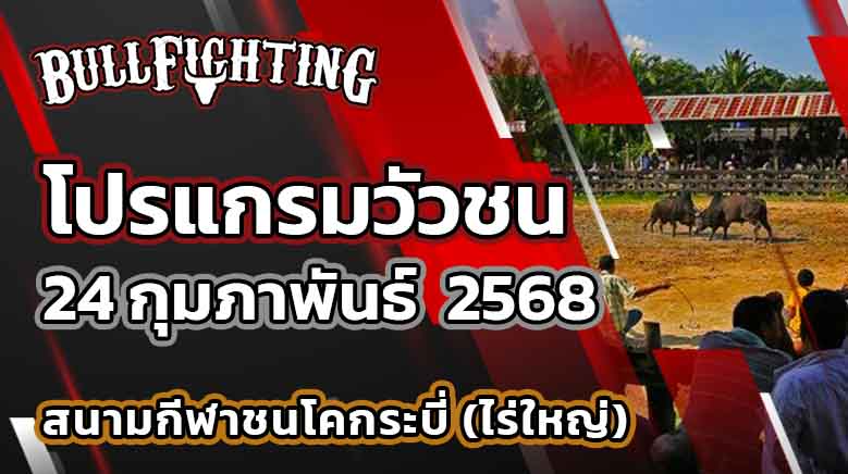 โปรแกรมวัวชน สนามกีฬาชนโคบ้านไร่ใหญ่ กระบี่ 24 กุมภาพันธ์ 2568 เว็บไซต์ : Bullfighting.bet
