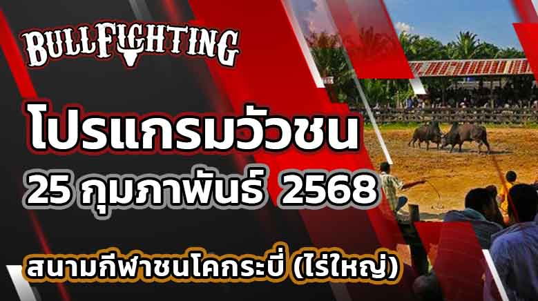 โปรแกรมวัวชน สนามกีฬาชนโคบ้านไร่ใหญ่ กระบี่ 25 กุมภาพันธ์ 2568 เว็บไซต์ : Bullfighting.bet