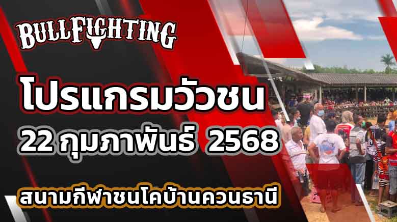 โปรแกรมวัวชน สนามกีฬาชนโคบ้านควนธานี 22 กุมภาพันธ์ 2568 เว็บไซต์ : bullfighting.bet