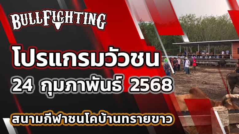 โปรแกรมวัวชน สนามกีฬาชนโคบ้านทรายขาว 24 กุมภาพันธ์ 2568 เว็บไซต์ : Bullfighting.bet