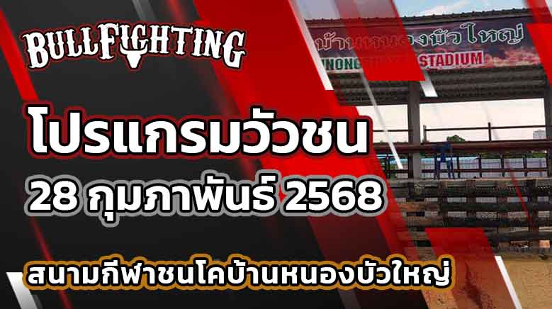 โปรแกรมวัวชน สนามกีฬาชนโคบ้านหนองบัวใหญ่ 28 กุมภาพันธ์ 2568 เว็บไซต์ : Bullfighting.bet