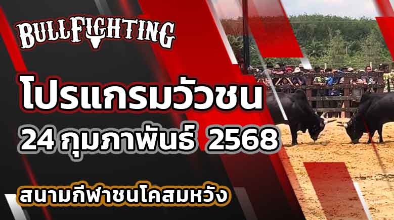 โปรแกรมวัวชน สนามกีฬาชนโคสมหวัง 24 กุมภาพันธ์ 2568 เว็บไซต์ : Bullfighting.bet