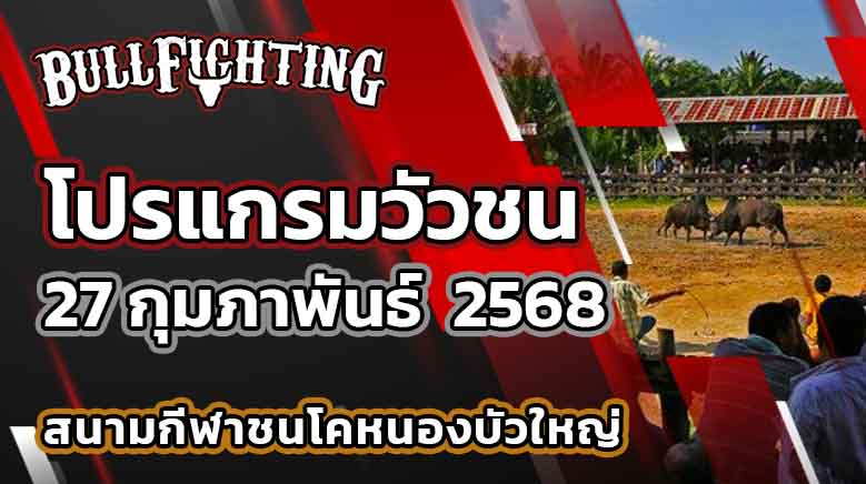 โปรแกรมวัวชน สนามกีฬาชนโคหนองบัวใหญ่ 27 กุมภาพันธ์ 2568 เว็บไซต์ : Bullfighting.bet