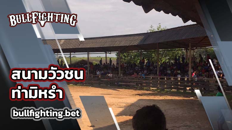 สนามวัวชนท่ามิหรำ