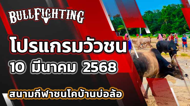 โปรแกรมวัวชน สนามชนโคบ้านบ่อล้อ 10 มี.ค. 68 : Bullfighting.Bet