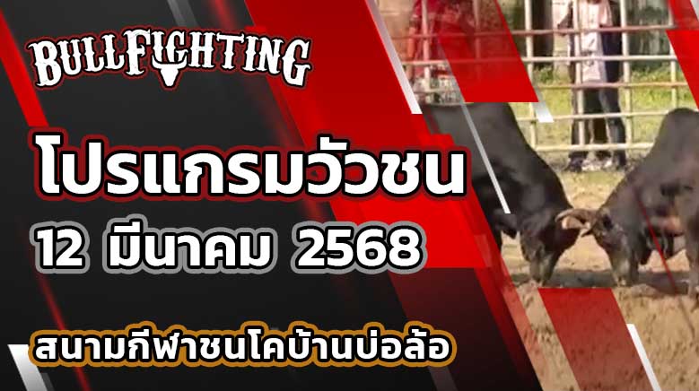 โปรแกรมวัวชน สนามกีฬาชนโคบ้านบ่อล้อ 12 มี.ค. 68 : Bullfighting.Bet
