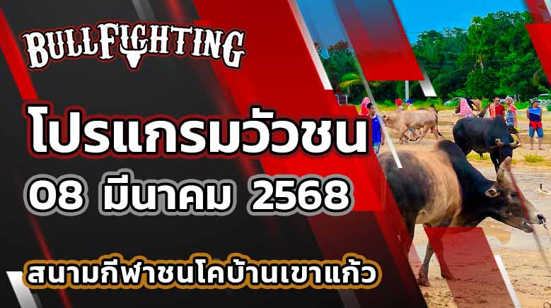 โปรแกรมวัวชน สนามกีฬาชนโคเขาแก้ว 8 มี.ค. 68 : Bullfighting.Bet