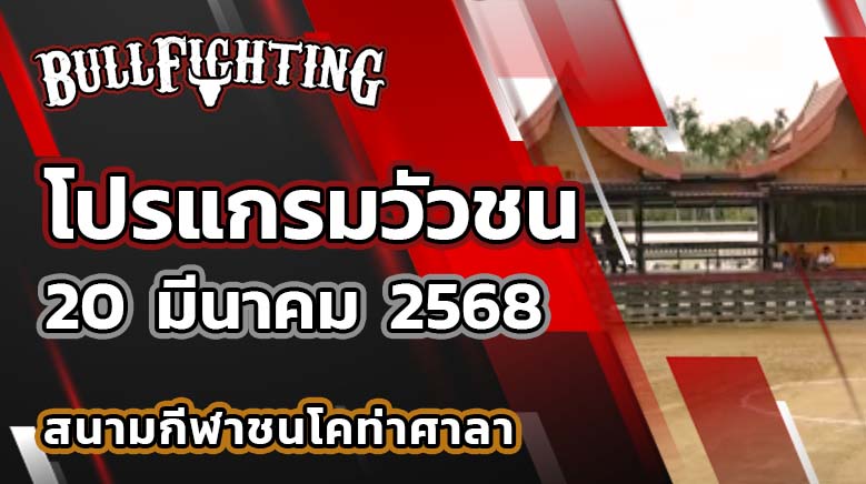 โปรแกรมวัวชน สนามชนโคท่าศาลา 20 มีนาคม 2568 เว็บไซต์ : Bullfighting.bet