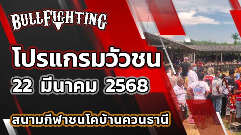 โปรแกรมวัวชน สนามชนโคบ้านควนธานี 22 มีนาคม 2568 เว็บไซต์ : bullfighting.bet