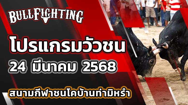 โปรแกรมวัวชน สนามชนโคบ้านท่ามิหร่ำ 24 มีนาคม 2568 เว็บไซต์ : bullfighting.bet