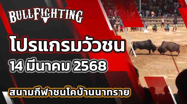 โปรแกรมวัวชน สนามชนโคบ้านนาทราย 14 มี.ค. 68 : Bullfighting.Bet