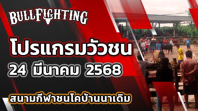 โปรแกรมวัวชน สนามชนโคบ้านนาเดิม 24 มีนาคม 2568 เว็บไซต์ : bullfighting.bet