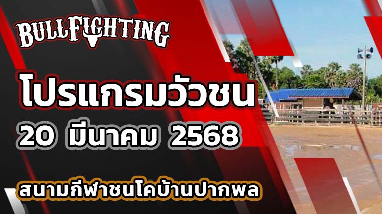 โปรแกรมวัวชน สนามชนโคบ้านปากพล 20 มีนาคม 2568 เว็บไซต์ : Bullfighting.bet