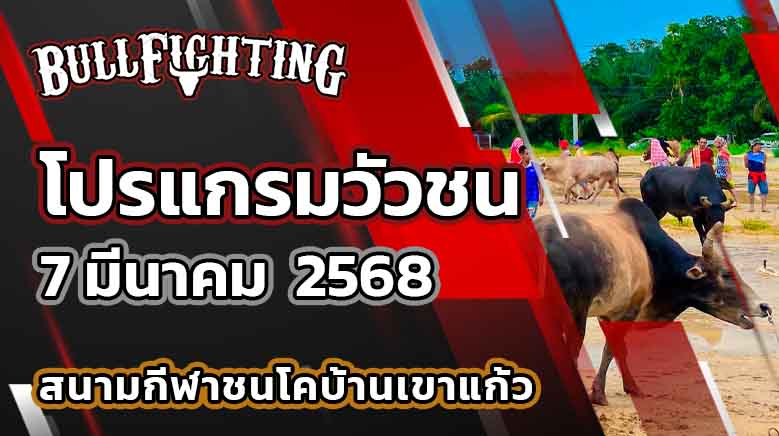 โปรแกรมวัวชน สนามกีฬาชนโคเขาแก้ว 7 มีนาคม 2568 เว็บไซต์ : Bullfighting.bet