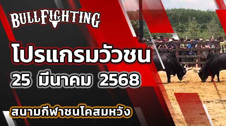 โปรแกรมวัวชน สนามกีฬาชนโคสมหวัง 25 มีนาคม 2568 เว็บไซต์ : bullfighting.bet