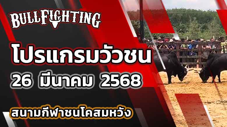 โปรแกรมวัวชน สนามกีฬาชนโคสมหวัง 26 มีนาคม 2568 เว็บไซต์ : bullfighting.bet