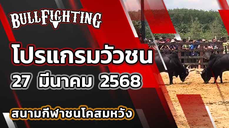 โปรแกรมวัวชน สนามกีฬาชนโคสมหวัง 27 มีนาคม 2568 เว็บไซต์ : bullfighting.bet