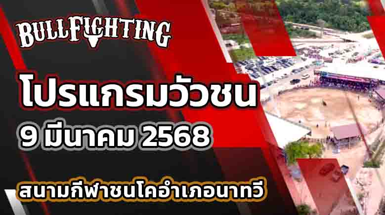 โปรแกรมวัวชน สนามชนโคอำเภอนาทวี 9 มี.ค. 68 : Bullfighting.Bet