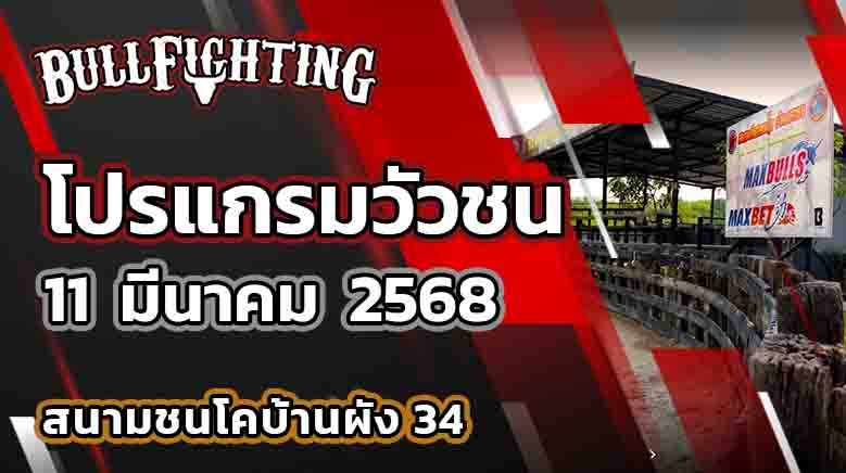 โปรแกรมวัวชน สนามชนโคบ้านผัง 34 11 มี.ค. 68 : Bullfighting.Be
