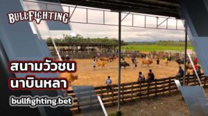 สนามวัวชนนาบินหลา