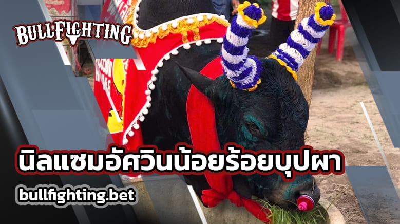 นิลแซมอัศวินน้อยร้อยบุปผา