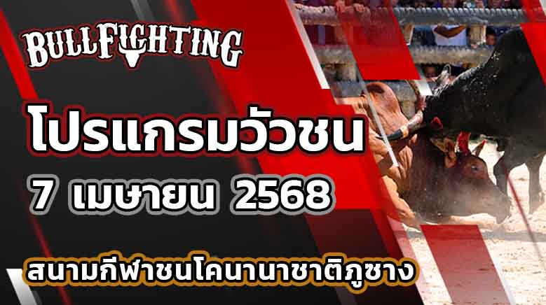 โปรแกรมวัวชน สนามกีฬาชนโคนานาชาติภูซาง พะเยา 7 เมษายน 2568 เว็บไซต์ : Bullfighting.bet