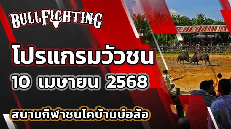 โปรแกรมวัวชน สนามกีฬาชนโคบ้านบ่อล้อ 10 เมษายน 2568 เว็บไซต์ : Bullfighting.bet
