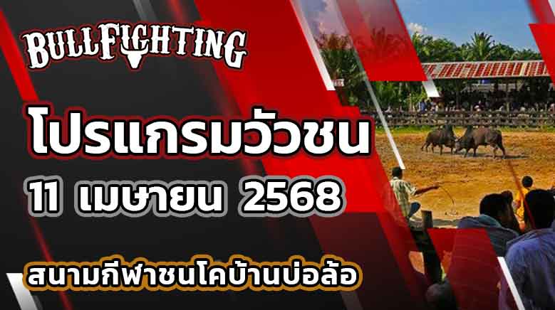 โปรแกรมวัวชน สนามกีฬาชนโคบ้านบ่อล้อ 11 เมษายน 2568 เว็บไซต์ : Bullfighting.bet