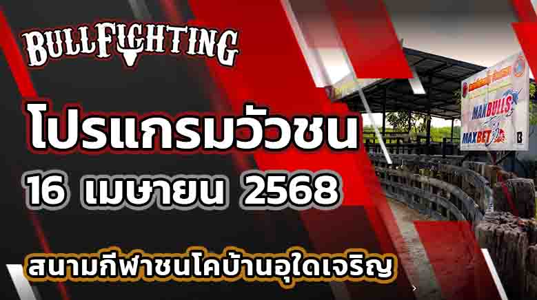 โปรแกรมวัวชน สนามกีฬาชนโคอำเภอนาทวี 16 เมษายน 2568 เว็บไซต์ : Bullfighting.bet