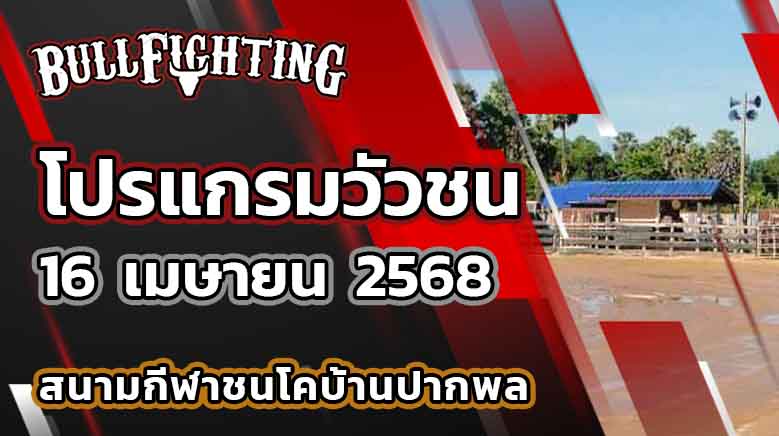 โปรแกรมวัวชน สนามชนโคบ้านปากพล 16 เมษายน 2568 เว็บไซต์ : Bullfighting.bet