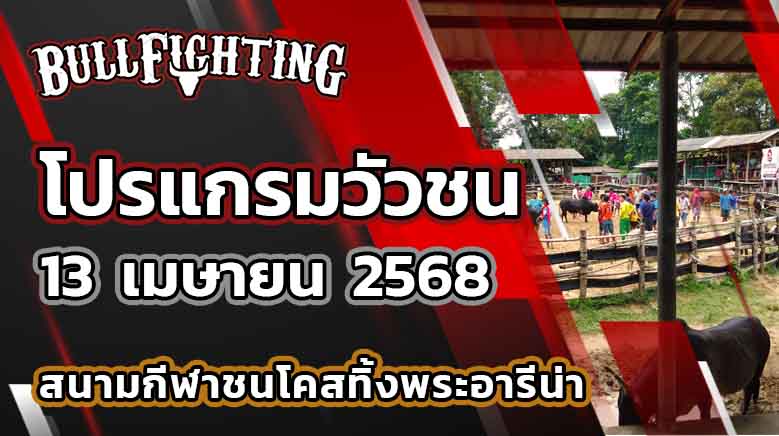โปรแกรมวัวชน สนามกีฬาชนโคสทิ้งพระ 13 เมษายน 2568 เว็บไซต์ : Bullfighting.bet