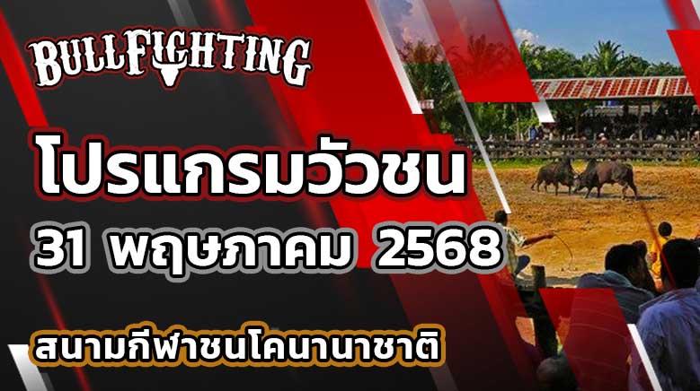 โปรแกรมวัวชน สนามกีฬาชนโคนานาชาติ 31 พฤษภาคม 2568