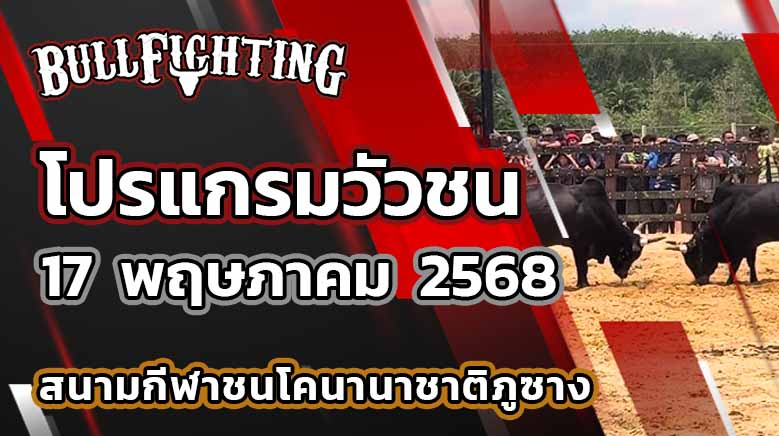 โปรแกรมวัวชน สนามกีฬาชนโคนครตรัง 17 พฤษภาคม 2568 : Bullfighting.Bet