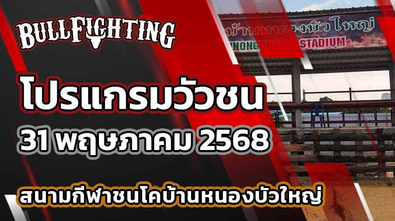 โปรแกรมวัวชน สนามกีฬาชนโคบ้านหนองบัวใหญ่ 31 พฤษภาคม 2568