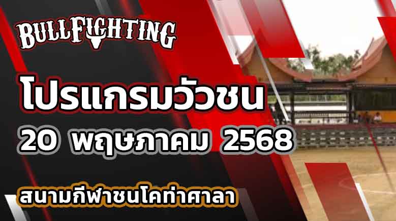 โปรแกรมวัวชน สนามกีฬาชนโคท่าศาลา 20 พฤษภาคม 2568 เว็บไซต์ : Bullfighting.bet