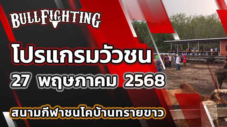 โปรแกรมวัวชน สนามกีฬาชนโคบ้านทรายขาว 27 พฤษภาคม 2568 เว็บไซต์ : Bullfighting.bet