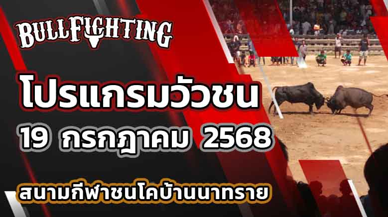 โปรแกรมวัวชน สนามกีฬาชนโคบ้านนาทราย 19 กรกฎาคม 2568 เว็บไซต์ : Bullfighting.bet
