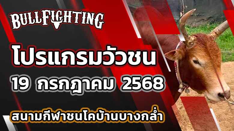 โปรแกรมวัวชน สนามกีฬาชนโคบ้านบางกล่ำ 19 กรกฎาคม 2568 เว็บไซต์ : Bullfighting.bet
