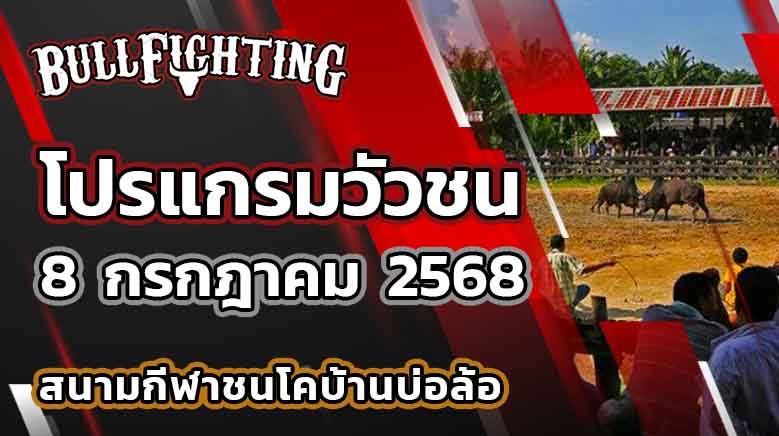 โปรแกรมวัวชน สนามกีฬาชนโคบ้านบ่อล้อ 8 กรกฎาคม 2568 เว็บไซต์ : Bullfighting.bet