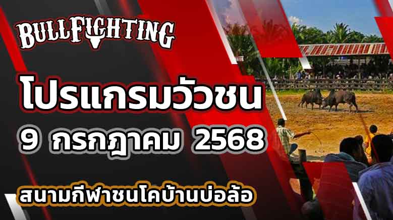 โปรแกรมวัวชน สนามกีฬาชนโคบ้านบ่อล้อ 9 กรกฎาคม 2568 เว็บไซต์ : Bullfighting.bet
