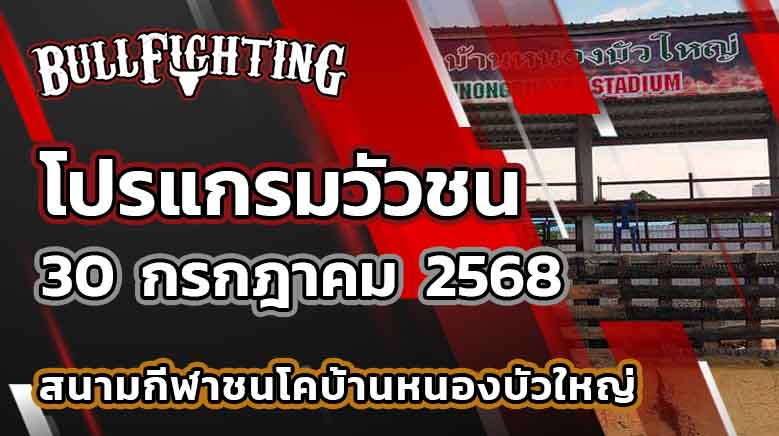 โปรแกรมวัวชน สนามกีฬาชนโคบ้านหนองบัวใหญ่ 30 กรกฎาคม 2568 เว็บไซต์ : Bullfighting.bet