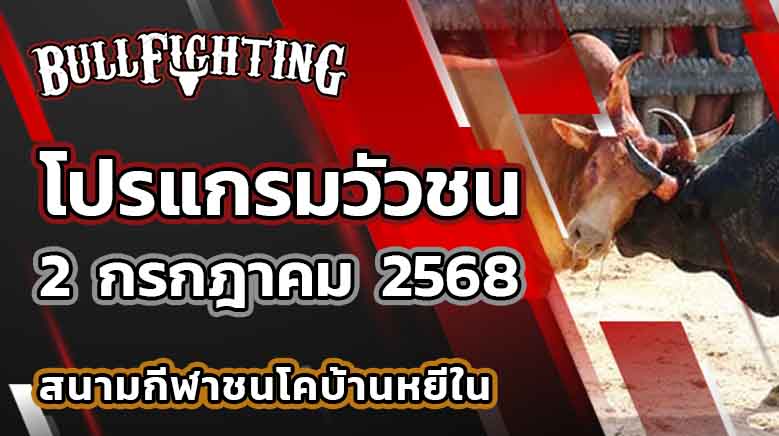 โปรแกรมวัวชน สนามกีฬาชนโคบ้านหยีใน 2 กรกฎาคม 2568 เว็บไซต์ : Bullfighting.bet