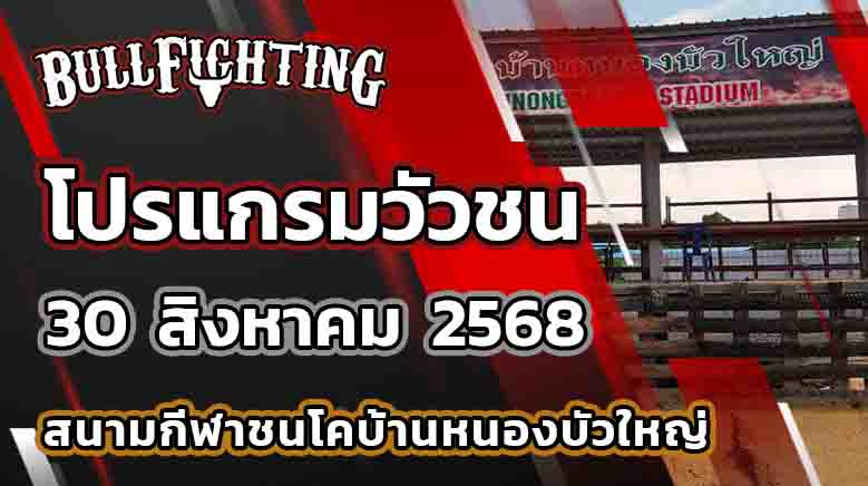 โปรแกรมวัวชน สนามกีฬาชนโคบ้านหนองบัวใหญ่ วันที่ 30 สิงหาคม 2568 เว็บไซต์ : Bullfighting.Bet